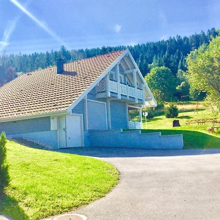 Chalet Le Flocon Bleu - Mauselaine Avec Vue Sur Le Lac De Gérardmer Εξωτερικό φωτογραφία