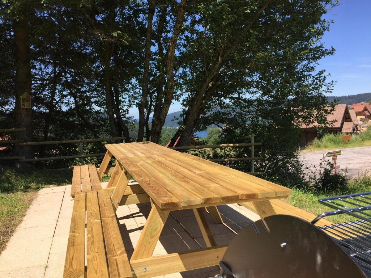 Chalet Le Flocon Bleu - Mauselaine Avec Vue Sur Le Lac De Gérardmer Εξωτερικό φωτογραφία