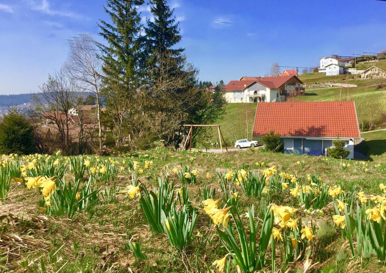 Chalet Le Flocon Bleu - Mauselaine Avec Vue Sur Le Lac De Gérardmer Εξωτερικό φωτογραφία