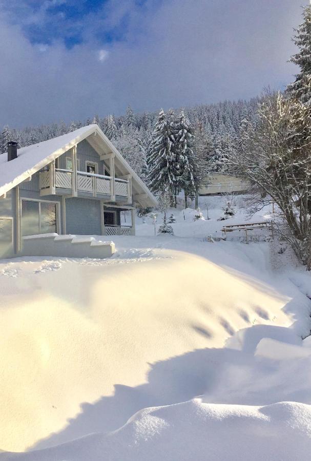 Chalet Le Flocon Bleu - Mauselaine Avec Vue Sur Le Lac De Gérardmer Εξωτερικό φωτογραφία