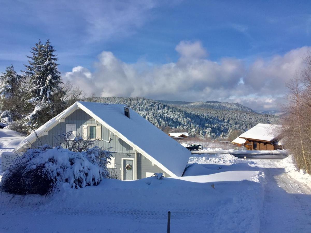 Chalet Le Flocon Bleu - Mauselaine Avec Vue Sur Le Lac De Gérardmer Εξωτερικό φωτογραφία