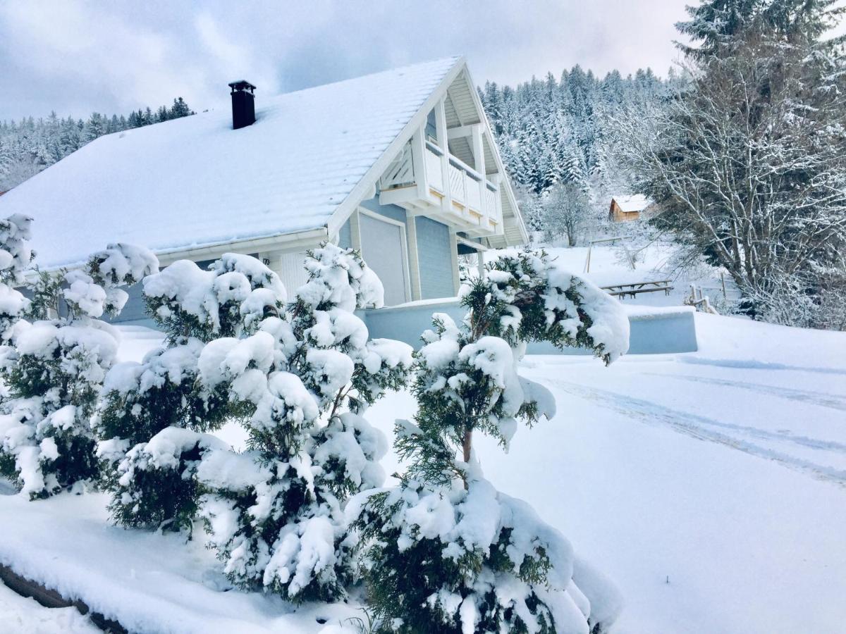 Chalet Le Flocon Bleu - Mauselaine Avec Vue Sur Le Lac De Gérardmer Εξωτερικό φωτογραφία