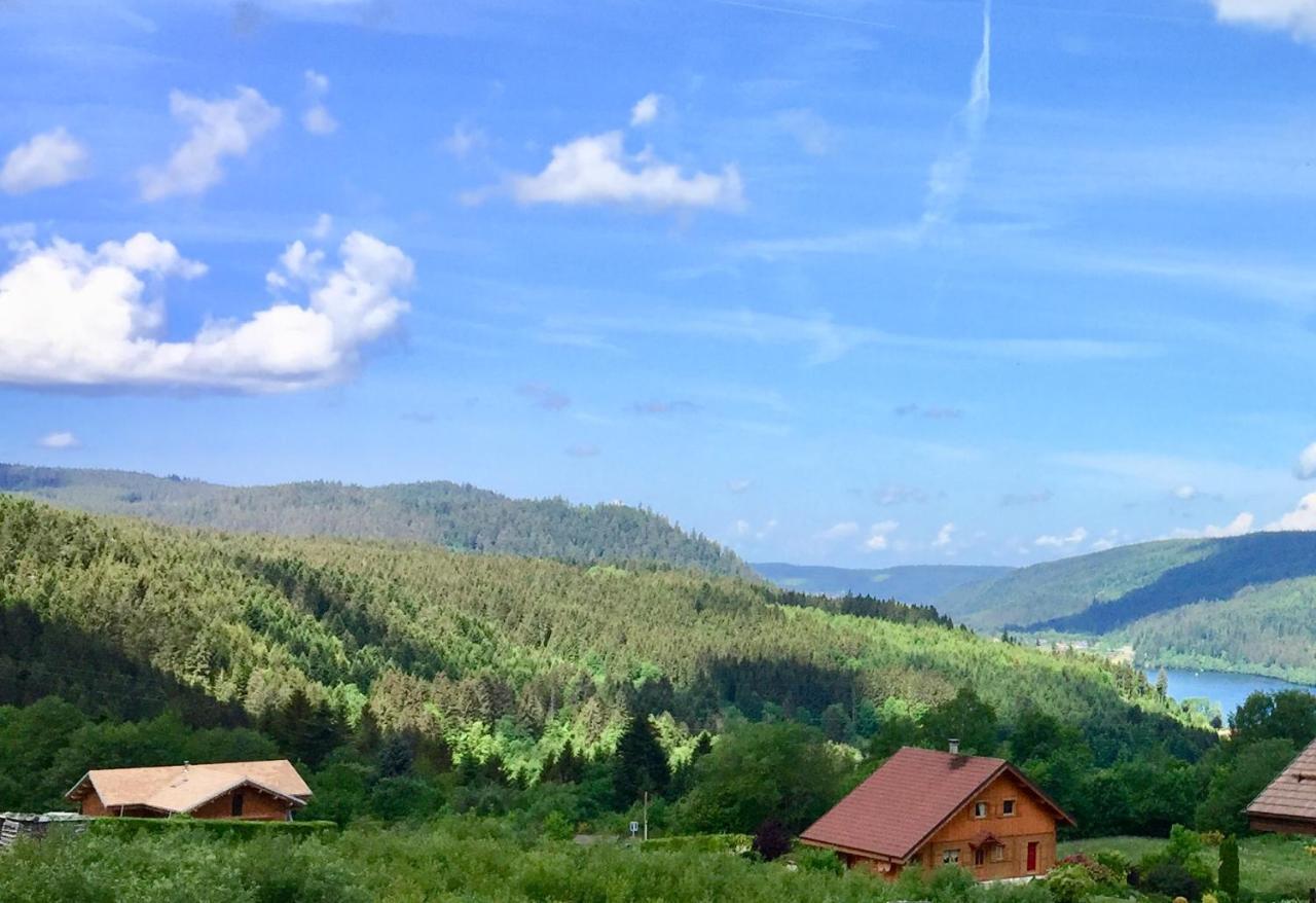 Chalet Le Flocon Bleu - Mauselaine Avec Vue Sur Le Lac De Gérardmer Εξωτερικό φωτογραφία