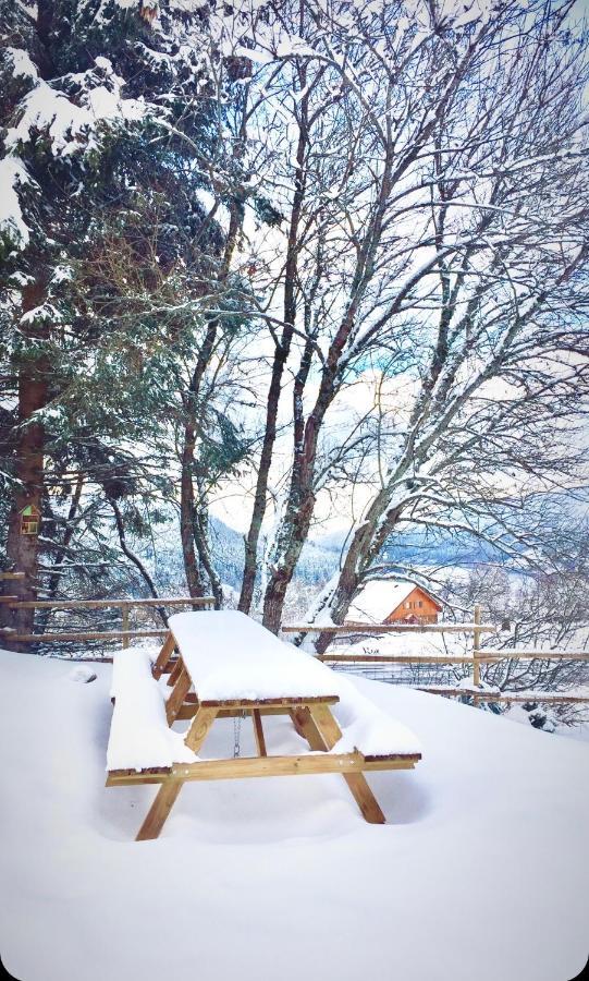 Chalet Le Flocon Bleu - Mauselaine Avec Vue Sur Le Lac De Gérardmer Εξωτερικό φωτογραφία